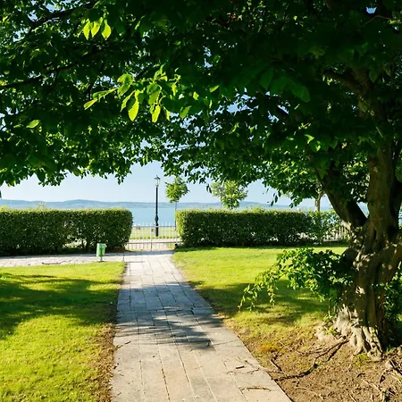 Zamia 1 By Interhome Zamárdi