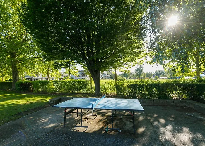 Zamia 1 By Interhome