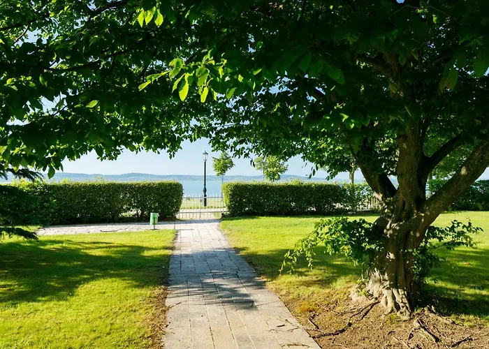 Zamia 1 By Interhome Zamardi