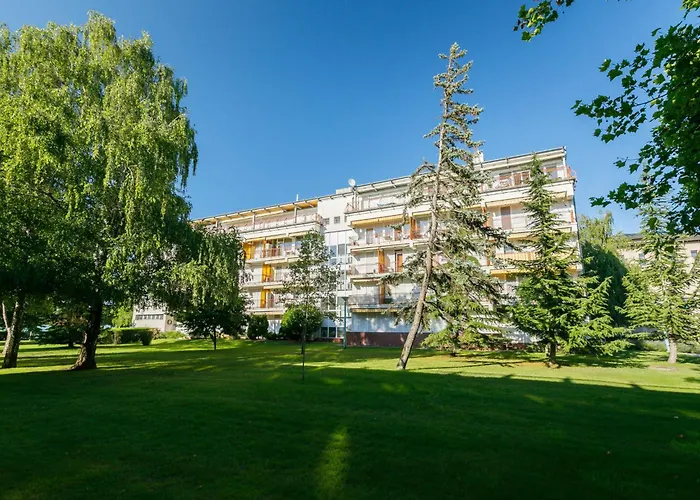 Zamia 1 By Interhome