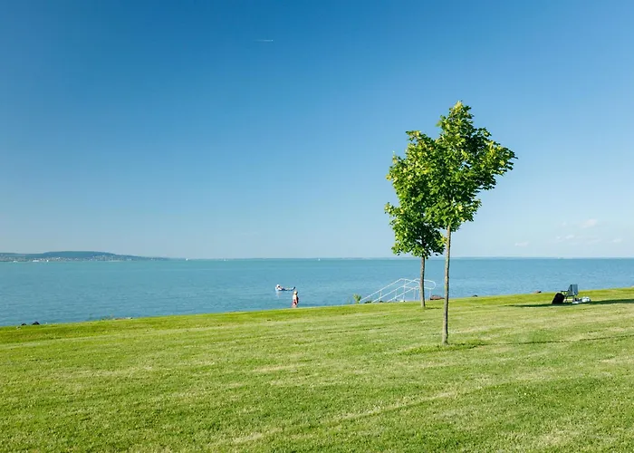 Appartement Zamia 1 By Interhome